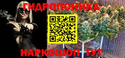 крисы Малоярославец