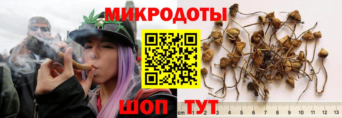 Псилоцибиновые грибы Psilocybine cubensis  Вход с VPN  Татарск  Псилоцибиновые грибы Cubensis 